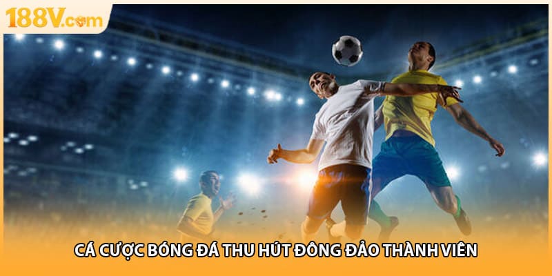 Cá cược bóng đá thu hút đông đảo thành viên