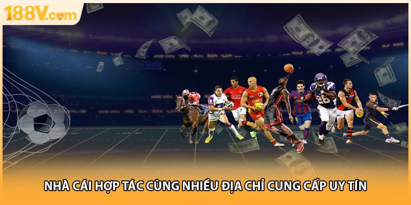 Nhà cái hợp tác cùng nhiều địa chỉ cung cấp uy tín